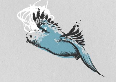 Chestnut Duo Berlin Album Cover Banana Moon Serenade