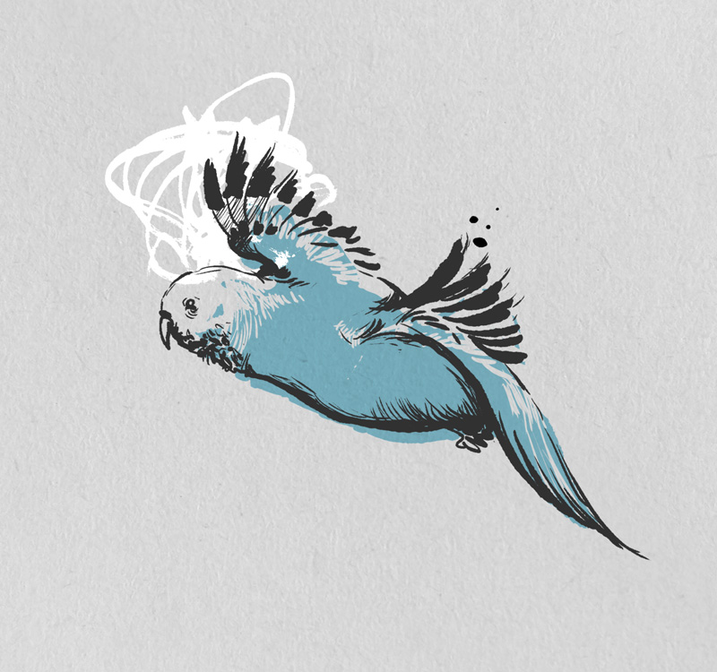 Chestnut Duo Berlin Album Cover Banana Moon Serenade