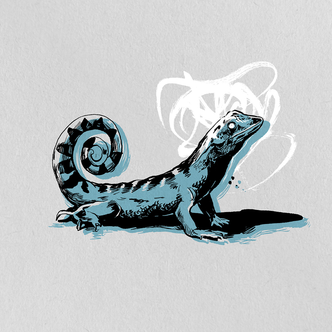 Illustration of a lizard for a Jazz Album.