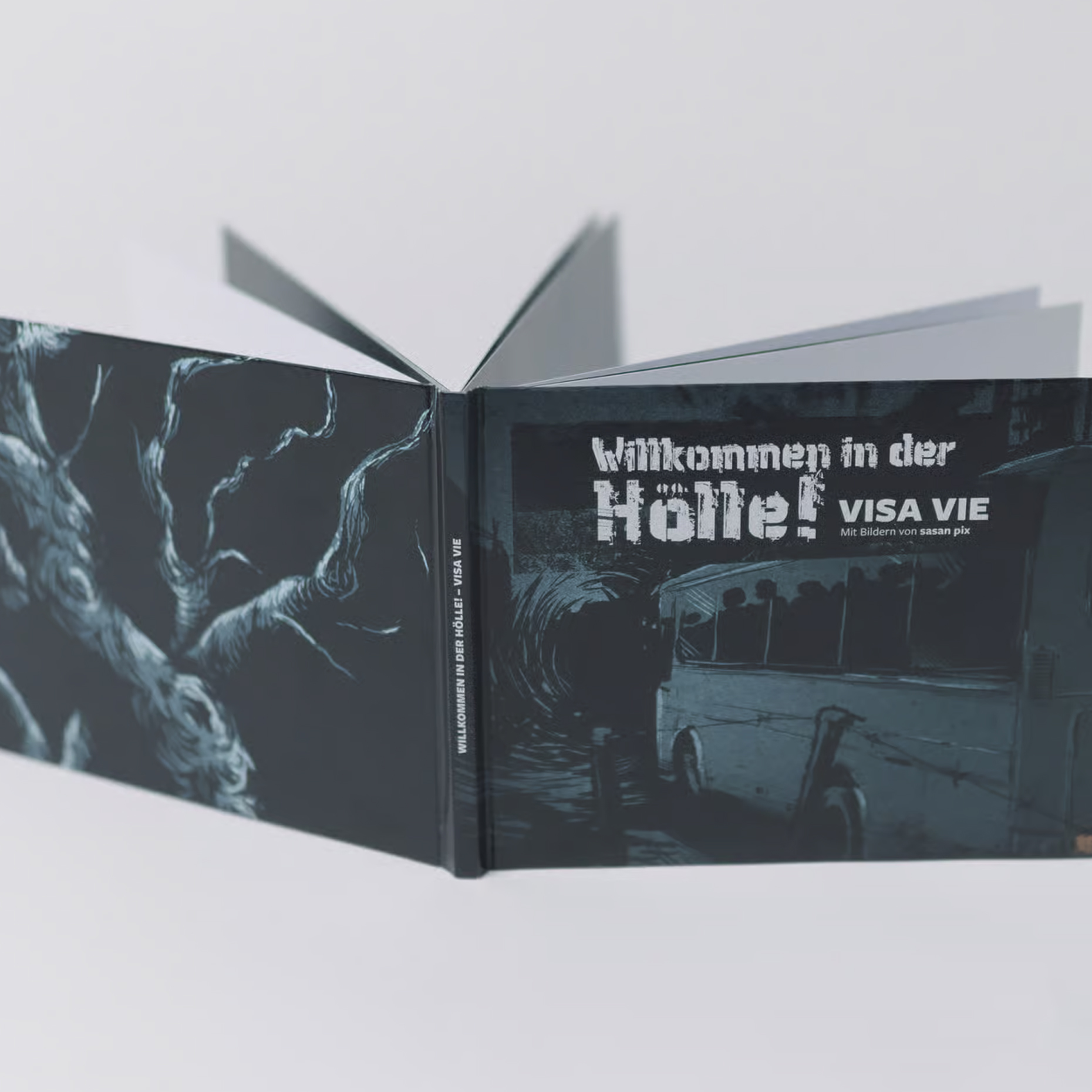 Book illustration for Willkommen in der Hölle by Visa Vie.