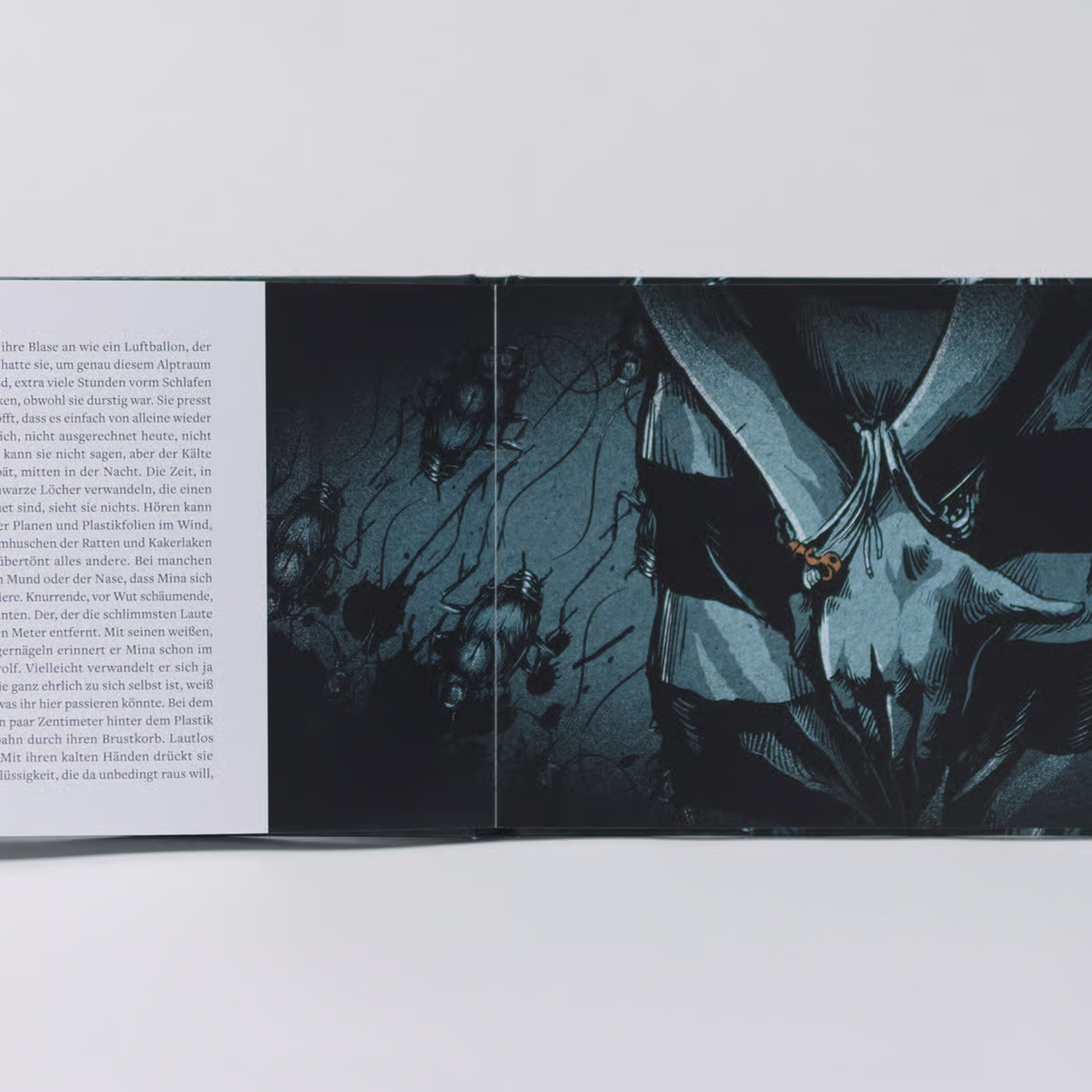 Book illustration for Willkommen in der Hölle by Visa Vie.